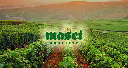 马赛特1777干红葡萄酒 【品鉴 评分 评价 价格