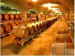 葡萄酒資訊world Wine News